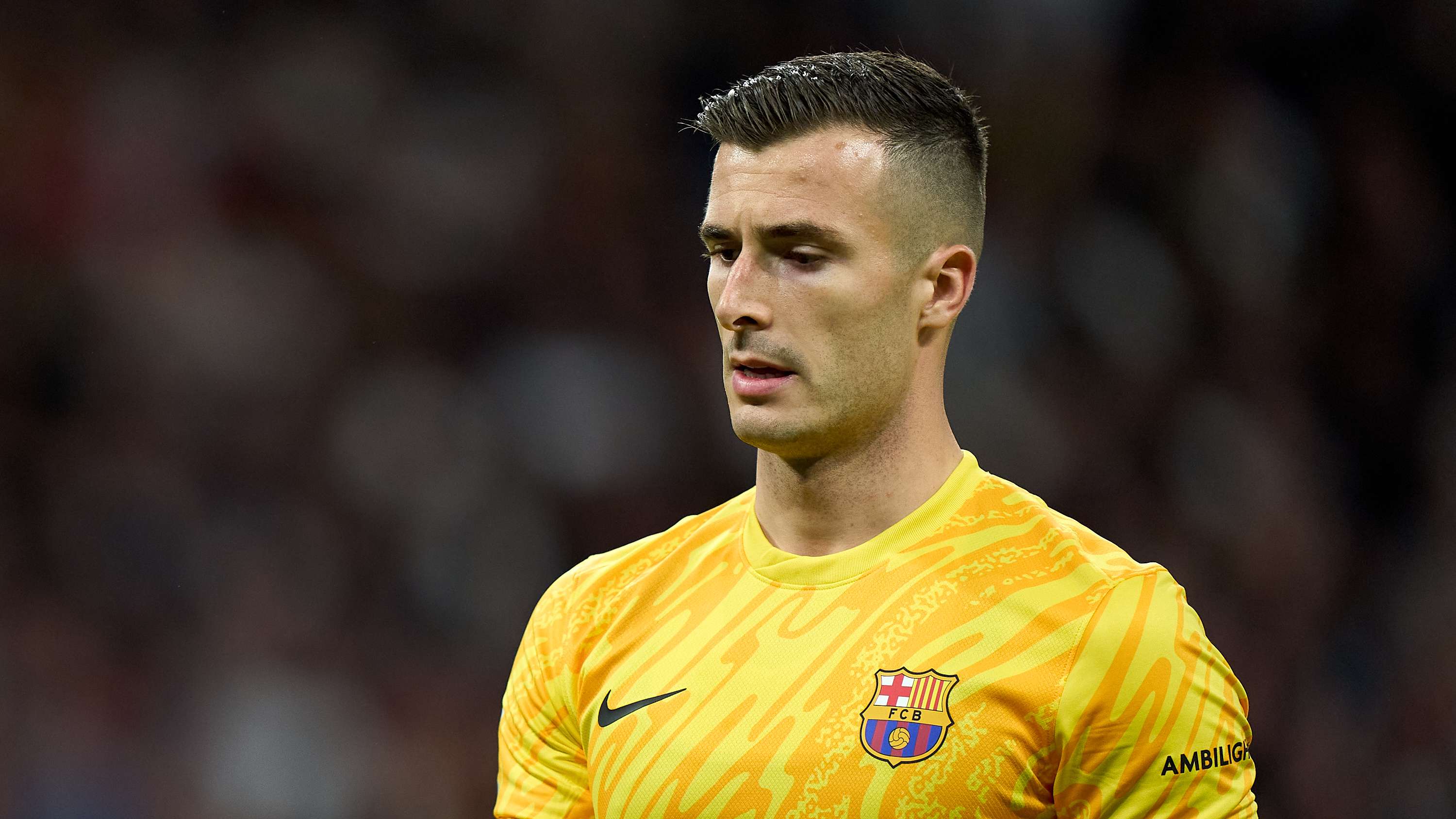 都需要在未 都需要在未